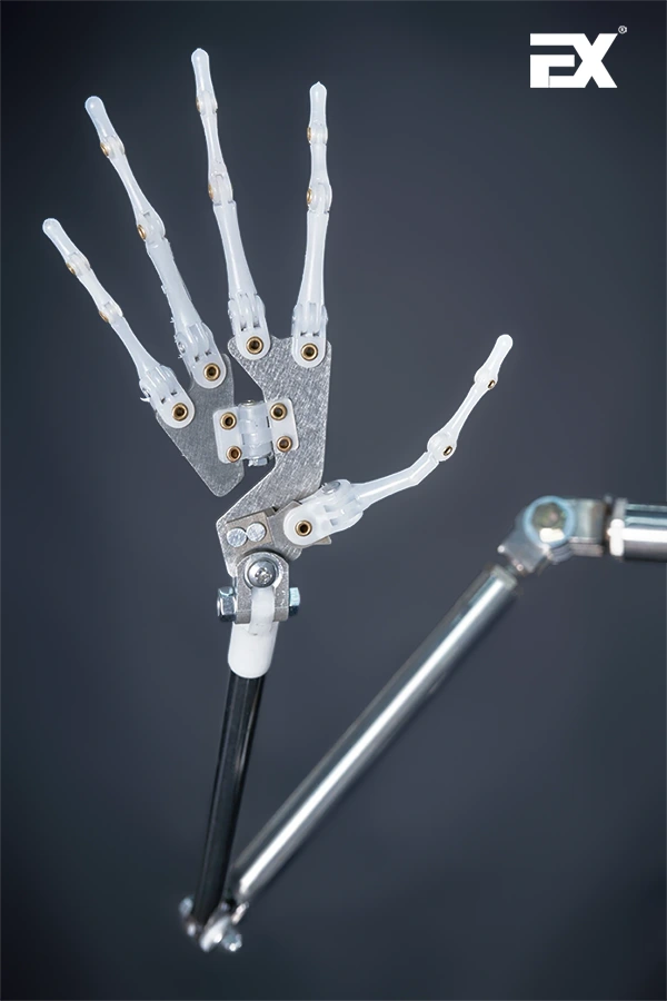 EXDOLL手指指骨,前脚掌可以弯折。